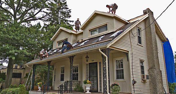Best Flat Roof Repair Services  in Prieville, NC